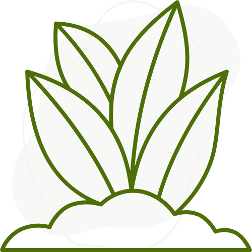 Création de jardin, un service de travaux paysagers à Béziers par Créa Entretien Jardin