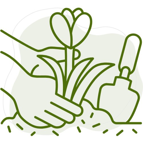 Création de massifs et plantations par Créa Entretien Jardin à Béziers