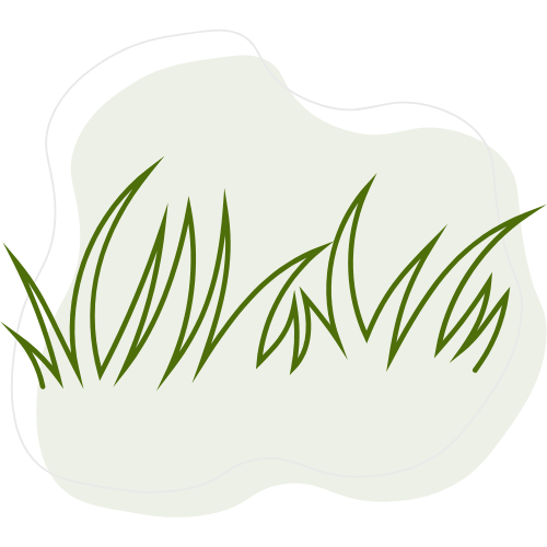 Création pelouse naturelle ou synthétique par Créa Entretien Jardin à Béziers