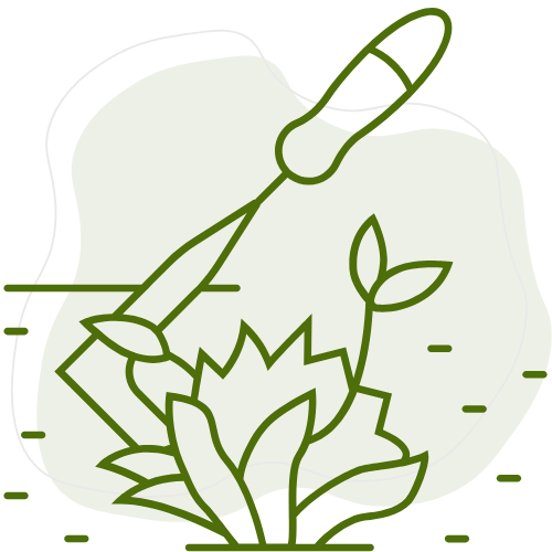 Désherbage et entretien des massifs par Créa Entretien Jardin à Béziers