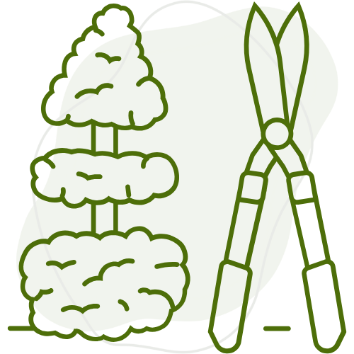 Elagage et abattage des arbres par Créa Entretien Jardin à Béziers