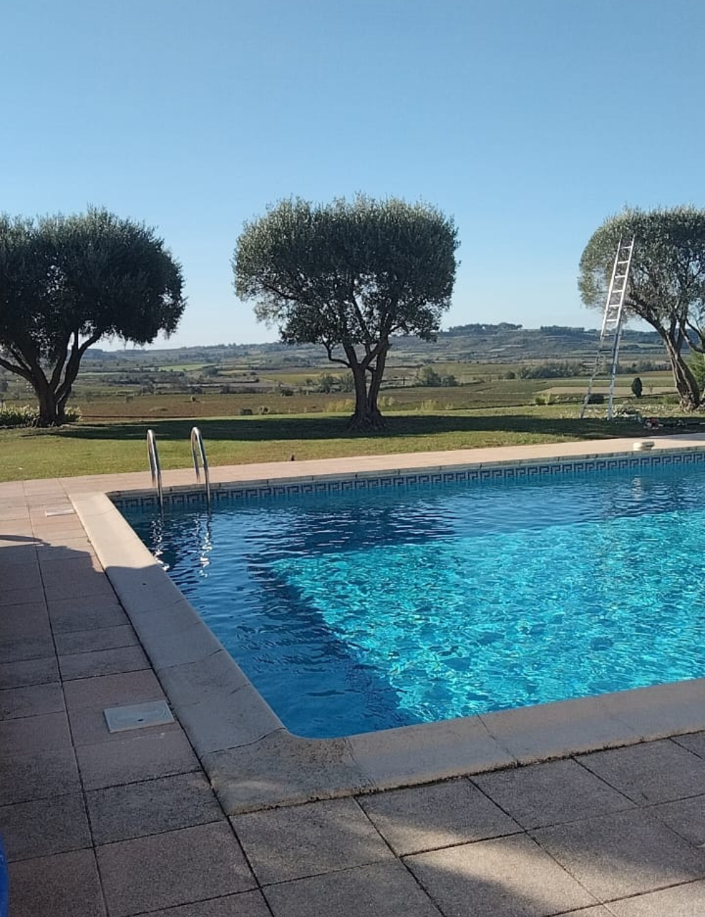 Entretien de votre jardin par Créa Entretien Jardin à Béziers
