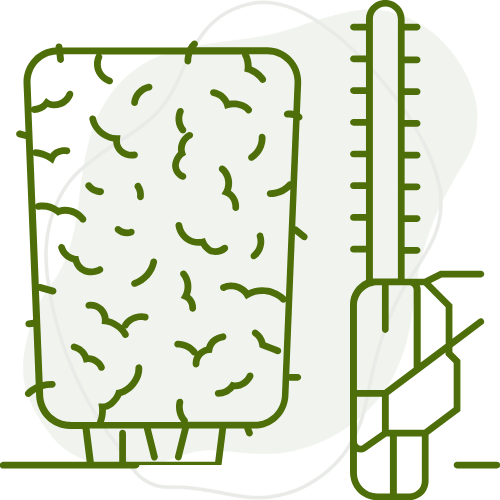 Taille des haies et arbustes par Créa Entretien Jardin à Béziers